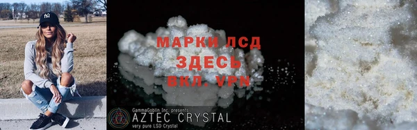 прущие грибы Касимов
