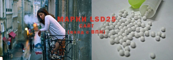 прущие грибы Касимов