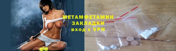 шишки Карпинск