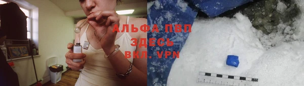 прущие грибы Касимов