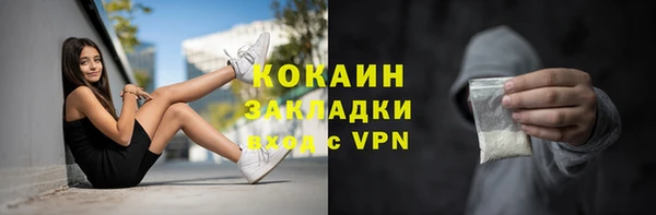 шишки Карпинск