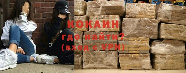 прущие грибы Касимов