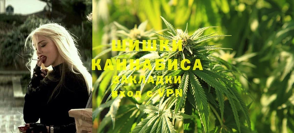 прущие грибы Касимов