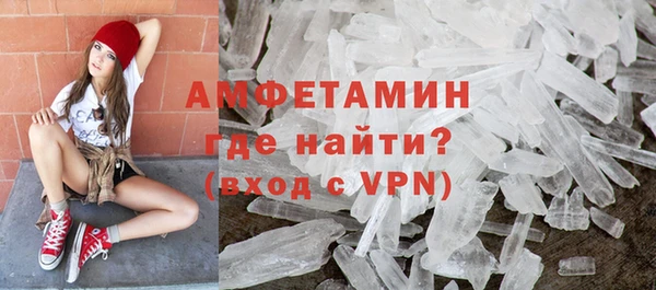 шишки Карпинск