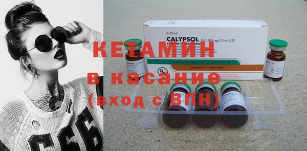 шишки Карпинск