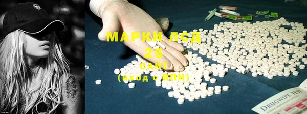 шишки Карпинск