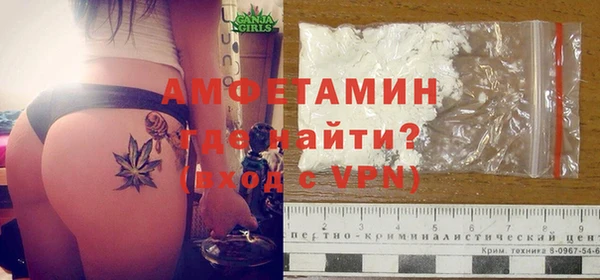 прущие грибы Касимов