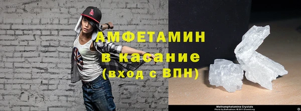 прущие грибы Касимов