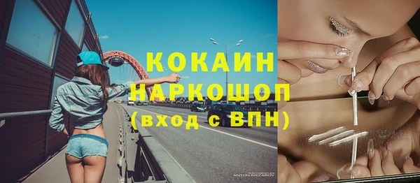 шишки Карпинск