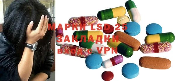 прущие грибы Касимов