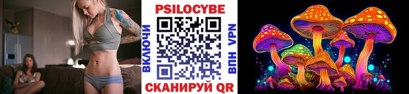 Галлюциногенные грибы Psilocybe  Купить  Бронницы 